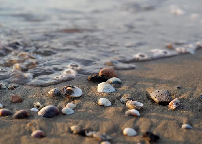 Enjoy The Peace On Our Beautiful Terrace - Beahost Appartamento Bibione